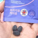 페이퍼백 팝업 스토어 성수 PAPER BAG 현장 입장 나만의 맞춤 웰니스 유형 후기