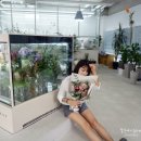 씨앝 이미지
