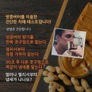 땅콩버터로 치매 검사를 할수 있다 이미지