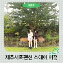 이음B 펜션 | 제주 서쪽 펜션 한경면 감성 숙소 스테이 이음