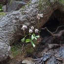 팔현1리 마을회관 이미지