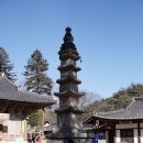 공주 가볼만한곳 사찰여행 마곡사