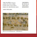 흥보, 박을 타다 이미지