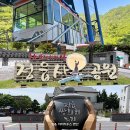 교암초등학교 | 전북 정읍 숙소 추천 주요 관광지와 가까운 미미하우스 펜션 소개