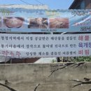 칼국수러버의 애착맛집 춘천 사농동 아침해칼국수 내돈내산 후기