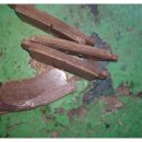 모터라인카서비스 이미지