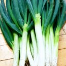 다래농원 이미지