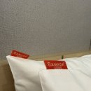 잭슨나인스게임파크 | [강원 춘천/숙소] 잭슨나인스호텔 슈페리얼 트윈 객실·키즈파크·부대시설 후기