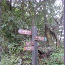 갈치호수길 이미지