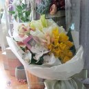 카라치과의원 네이버블로그
