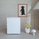 퓨어 | 올스텐 가열식 가습기, 다룸 퓨어 후기