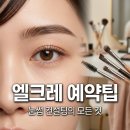 신사동 엘크레 눈썹 컨설팅 예약 성공 팁과 솔직 후기 총정리