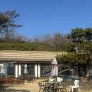 구유림7 | ☕ 노잼도시 울산 카페 털기 챌린지 7☕ 울산 정자 카페 '구유림' 바다뷰 한옥카페 (애견동반 가능)