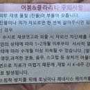 벨로의원 이미지