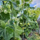 창현농장 이미지