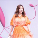 미즈콜랙션