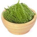 포도(Grape)