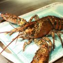 티철판요리 이미지