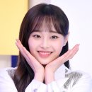 주식회사알지