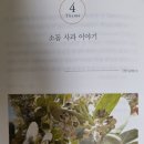 『메시지가 있는 성경식물 이야기』 4 - 소돔 사과 이야기 이미지