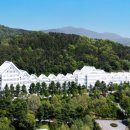 조선대학교 이미지