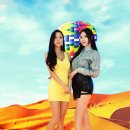 C&D 미디어