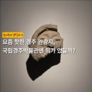 세븐일레븐 경주노서중앙점 | 사람 터지는 국중박 대신 국립경주박물관 오세요! | 입장료 해설시간 굿즈 수장고 이디야