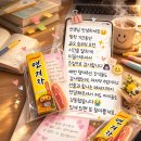 새자람작은도서관 | 다산동 글자람｜겨울방학 특강 후기, 리드AI로 입증된 학습 독서 성장