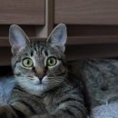 윤기목장 이미지