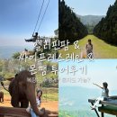 카페Rachel | 치앙마이 근교 투어｜하루 코스로 다녀오기 좋았던 엘리핀팜 & 싸이프레스레인 & 몬쨈투어