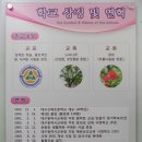 신매초등학교 이미지