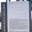 영조사 목조아미타여래삼존불감 네이버블로그