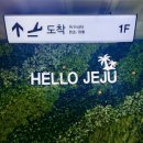 지수목장 | 제주도 아이와 여행 일정 1일차 가볼만한 곳 에코랜드(할인, 무료 워터트레인, 목장체험, 트램폴린까지)