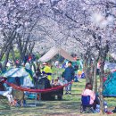 원진민박 | 중국의 24절기 경칩(驚蟄)