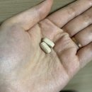 비비플래닛 네이버블로그