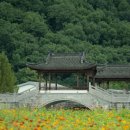 영덕특산물 이미지
