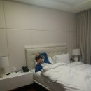 제주평강 이미지