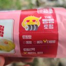The참치 이미지
