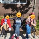 싱그러운청도로(가을) 이미지