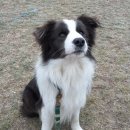 폼스하우스 이미지