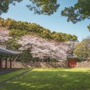 봄정형외과의원 이미지