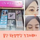 울산속눈썹연장 또렷한 눈매 쪼꼬미뷰티 솔직후기