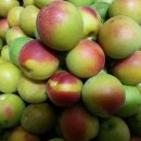 동례농장 이미지