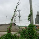 용암리 ~ 동외리 이미지