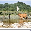 그리운 언덕 이미지