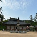 대광자원 | 템플스테이 하고 싶은 공주 마곡사