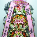 용진중학교 이미지