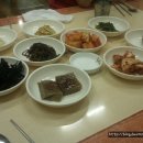지성식당 티스토리