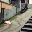 남산우리약국 이미지