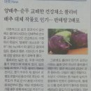 콜라비 = 양배추 + 순무 이미지